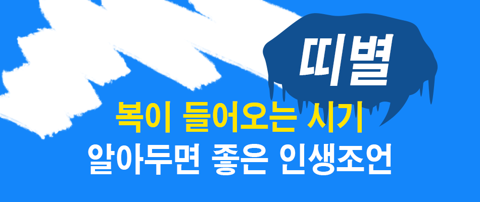 2026��캰� �����